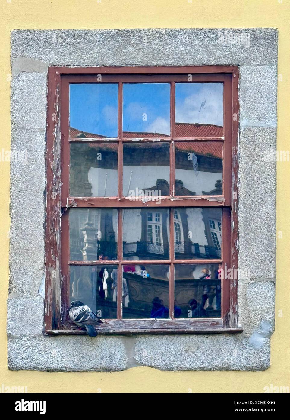 Pigeon perché sur le cadre en bois d'une fenêtre - Image de stock capturée avec un smartphone