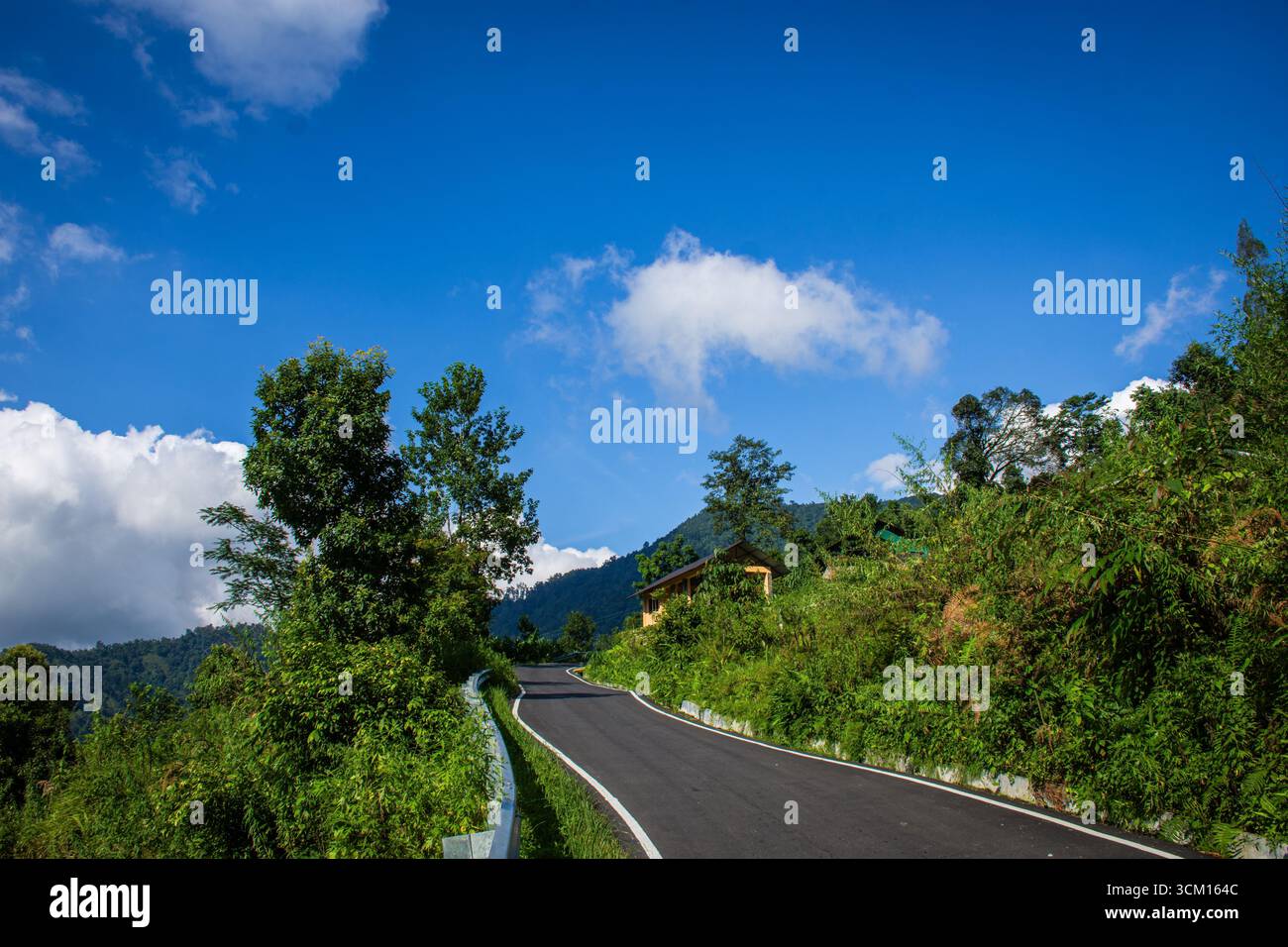 Une route sinueuse pittoresque entourée d'un feuillage vert vibrant menant à travers des paysages pittoresques, avec un ciel bleu vif orné de doux nuages cr Banque D'Images Une route sinueuse pittoresque entourée d'un feuillage vert vibrant menant à travers des paysages pittoresques, avec un ciel bleu vif orné de doux nuages cr Banque D'Images