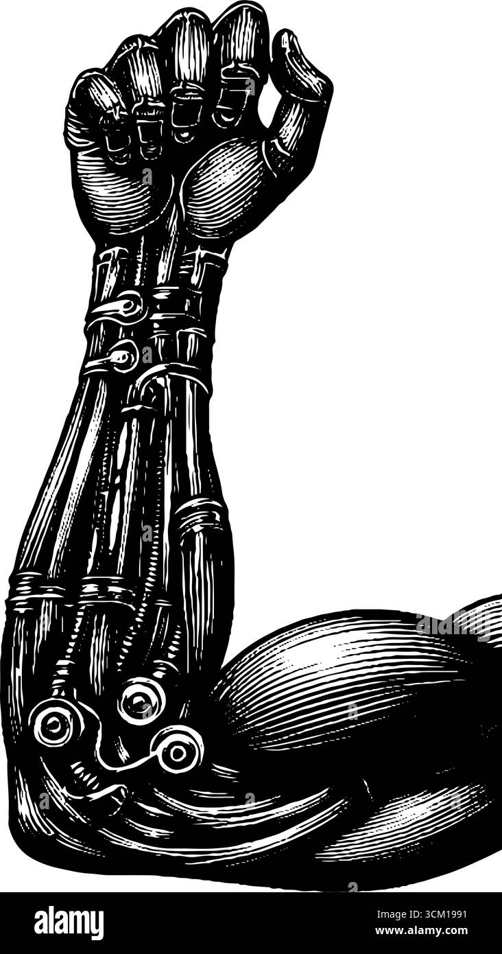 Schéma anatomique vintage du bras dans un style gravé pour la conception éducative. Illustration de Vecteur