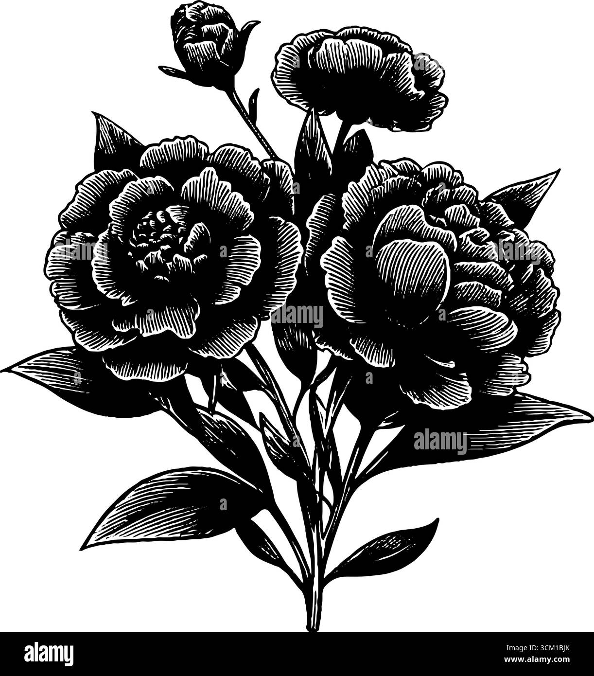 Design de bouquet floral gravé sans couture pour l'impression vintage et la décoration. Illustration de Vecteur