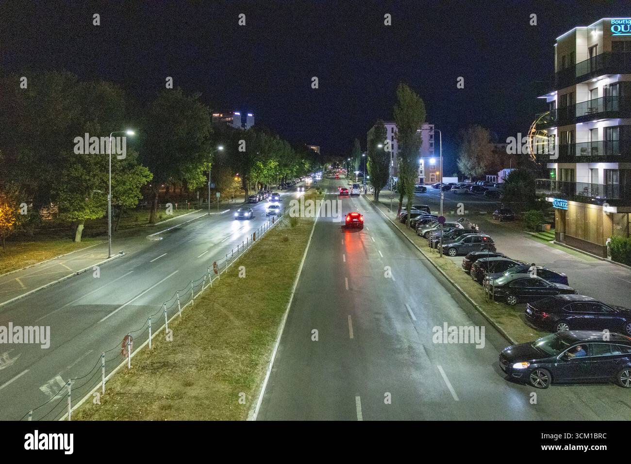 Vue nocturne longue exposition d'une avenue de la ville avec des voitures en mouvement, des lampadaires et des arbres bordés Banque D'Images