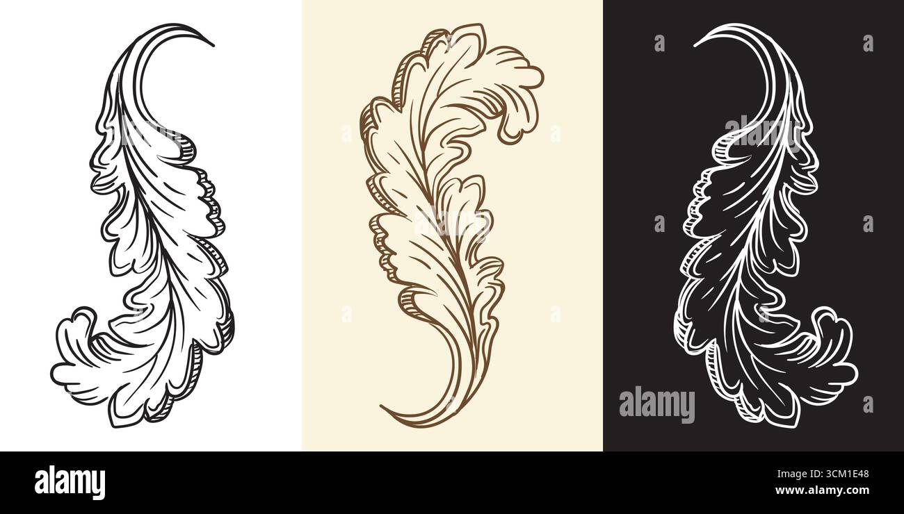 Collection de dessin à la main rétro élément de design baroque tourbillonnant feuille. Bordure de cadre victorien vintage, style de gravure des feuilles de défilement. Vecteur isolé ill Illustration de Vecteur