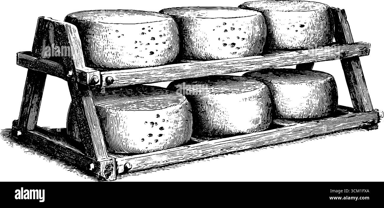 Moules à fromage vintage et croquis de support de vieillissement pour la décoration artistique et la conception d'emballage alimentaire. Illustration de Vecteur
