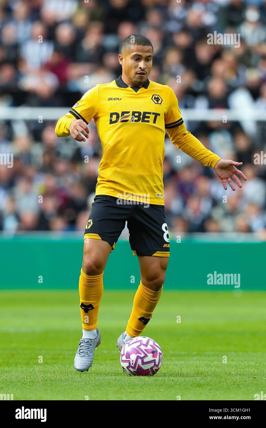Newcastle, Royaume-Uni. 13 septembre 2025. João Gomes of Wolverhampton Wanderers lors du Newcastle United FC contre Wolverhampton Wanderers FC English premier League match au St.James' Park, Newcastle, Angleterre, Royaume-Uni le 13 septembre 2025 crédit : Lee Keuneke/Every second Media crédit : Every second Media/Alamy Live News Banque D'Images