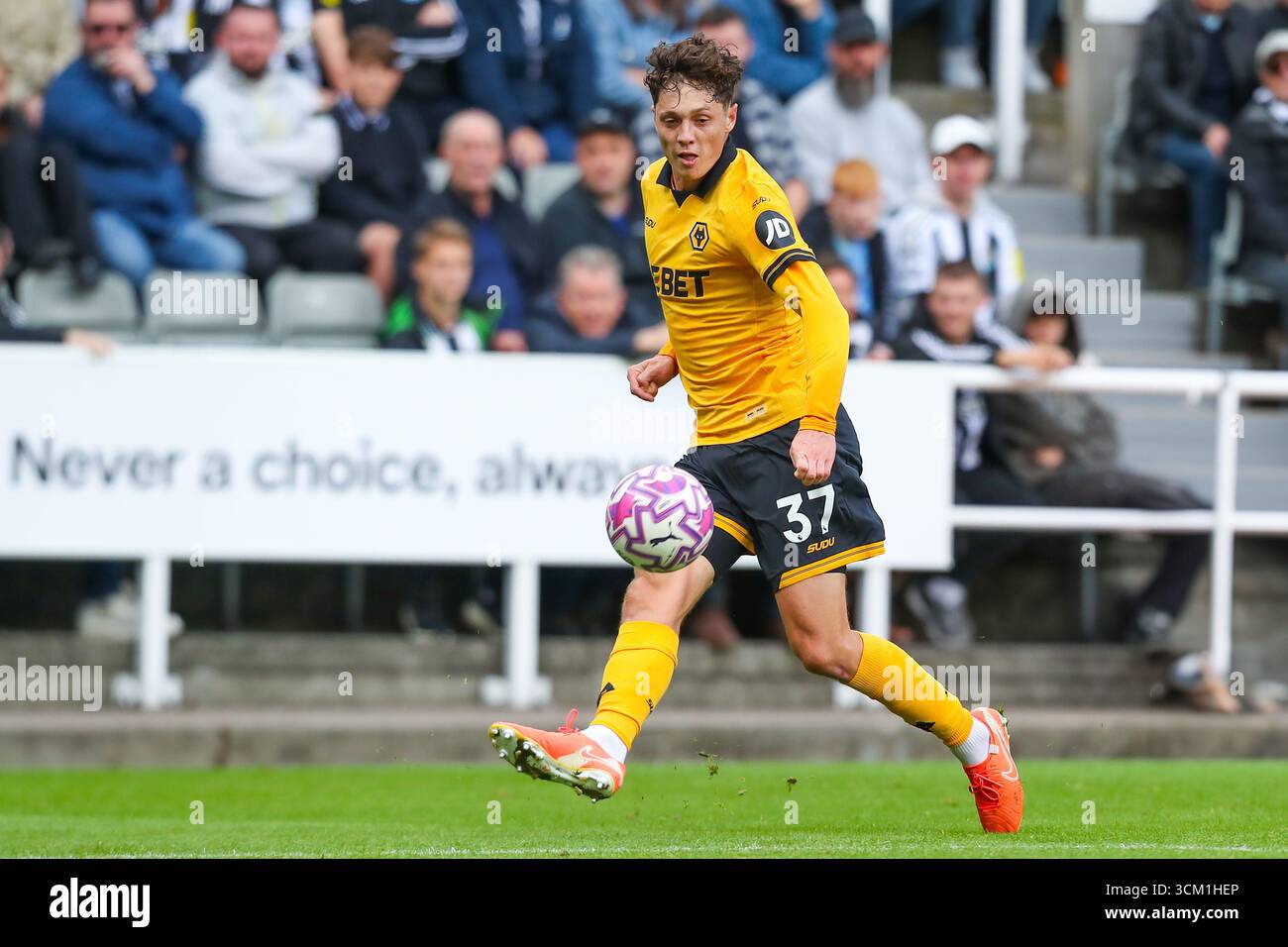 Newcastle, Royaume-Uni. 13 septembre 2025. Ladislav Krejci des Wolverhampton Wanderers lors du Newcastle United FC contre Wolverhampton Wanderers FC English premier League match au St.James' Park, Newcastle, Angleterre, Royaume-Uni le 13 septembre 2025 crédit : Lee Keuneke/Every second Media crédit : Every second Media/Alamy Live News Banque D'Images