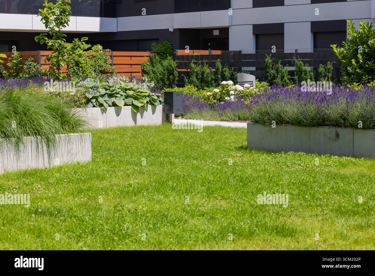 Design paysager moderne de cour résidentielle avec des plantes décoratives, pelouse verte, parterres de fleurs et arbustes près de logements élégants de faible hauteur Banque D'Images