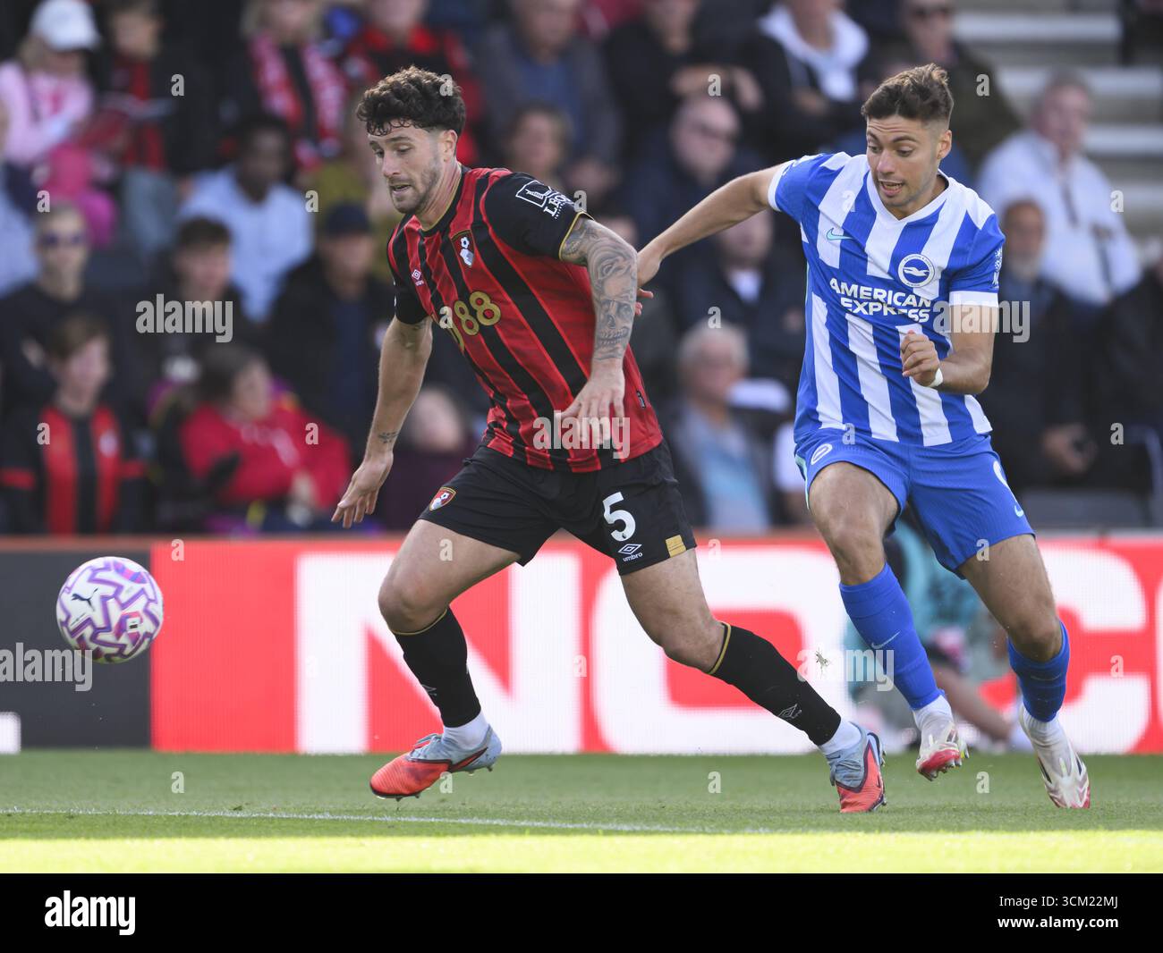 Bournemouth, Royaume-Uni. 13 septembre 2025. Bournemouth, Angleterre, 13 septembre 2025 : Marcos Senesi de Bournemouth (à gauche) sous la pression de Stefanos TZIMAS de Brighton & Hove Albion (à droite) lors du match de premier League entre Bournemouth et Brighton au Vitality Stadium de Bournemouth, en Angleterre. Crédit : SPP Sport Press photo. /Alamy Live News Banque D'Images