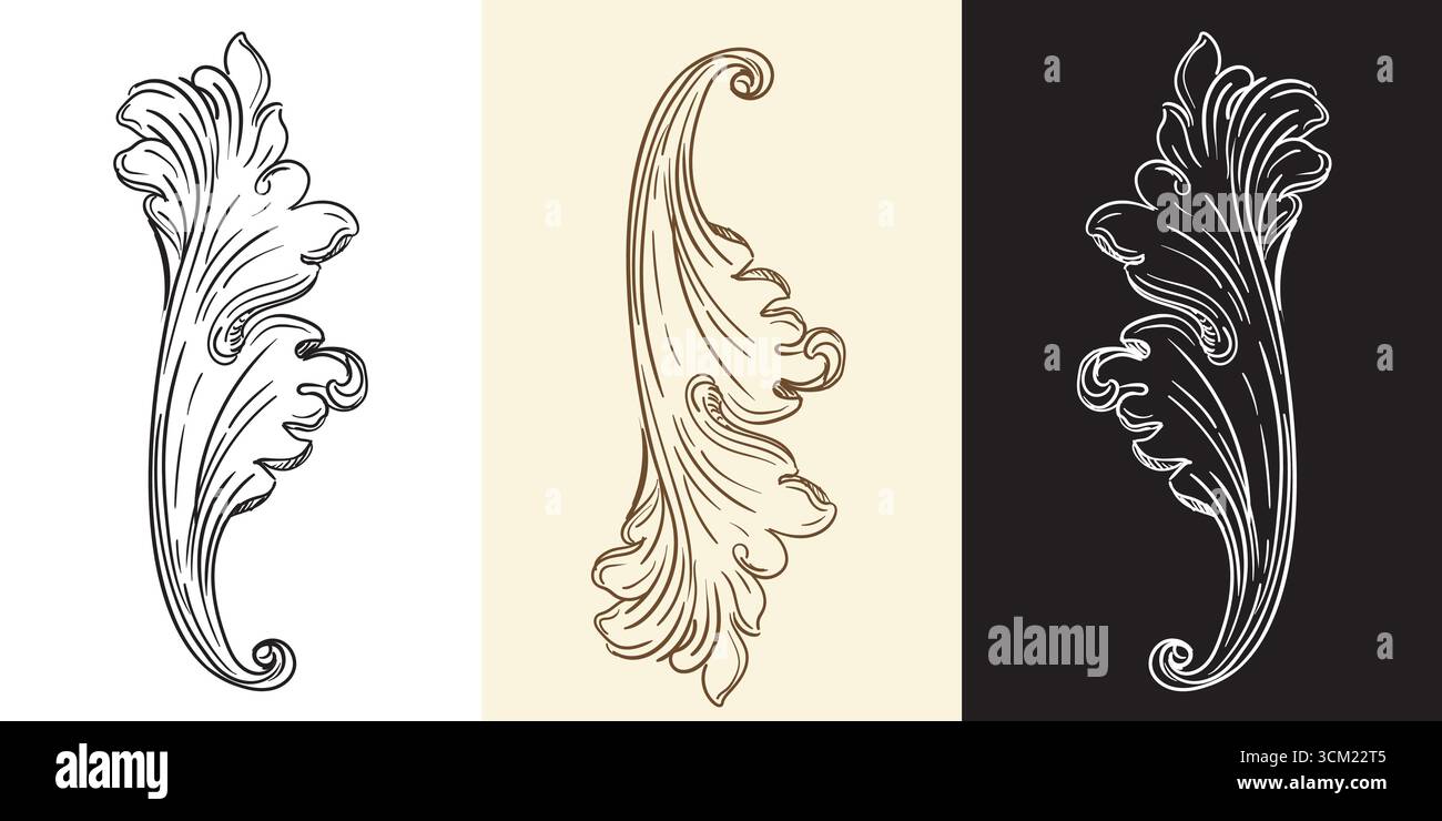 Collection de feuilles baroques rétro dessinées à la main, élément de design. Bordure de cadre victorien vintage, style de gravure des feuilles de défilement. Illust vecteur isolé Illustration de Vecteur