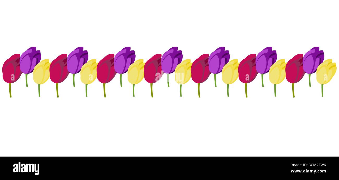 Bordure de tulipe pour votre conception. Illustration vectorielle isolée sur fond blanc. Illustration de Vecteur Bordure de tulipe pour votre conception. Illustration vectorielle isolée sur fond blanc. Illustration de Vecteur