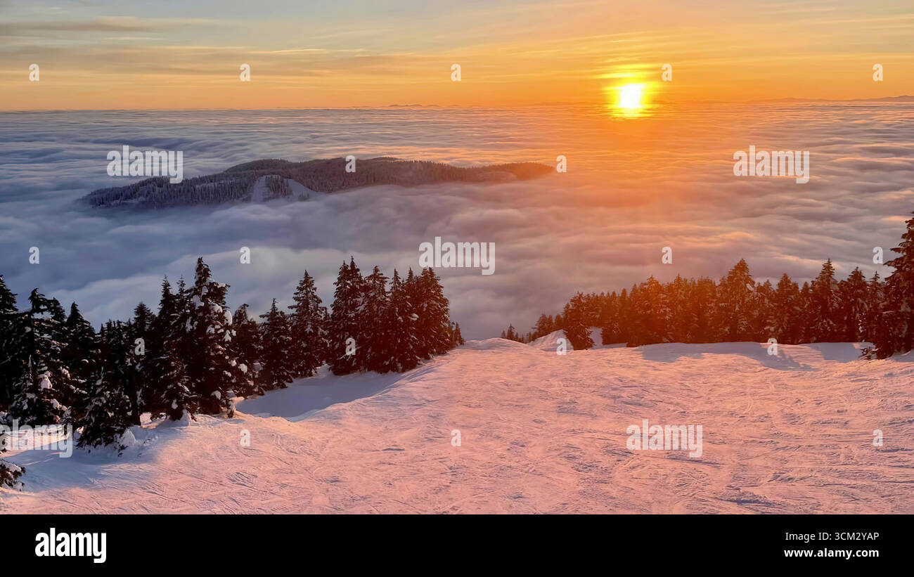 Mont Seymour au coucher du soleil, North Vancouver, C.-B. ; alpenglow sur les crêtes enneigées au-dessus des forêts de pruches avec un ciel pastel au-dessus d'Indian Arm. Illustration de Vecteur