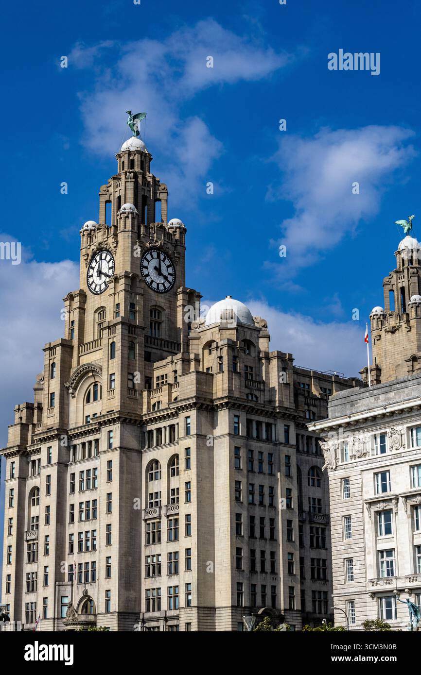Un grand bâtiment en pierre orné avec des cadrans d'horloge proéminents, surmonté d'une statue sur un ciel bleu vif avec des nuages éparpillés à Liverpool, Royaume-Uni. Banque D'Images