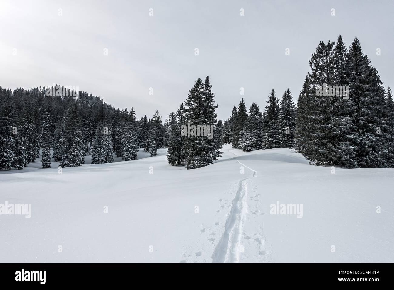 Piste de ski solitaire sur les Hochries, Alpes de Chiemgau, Bavière, Allemagne Banque D'Images