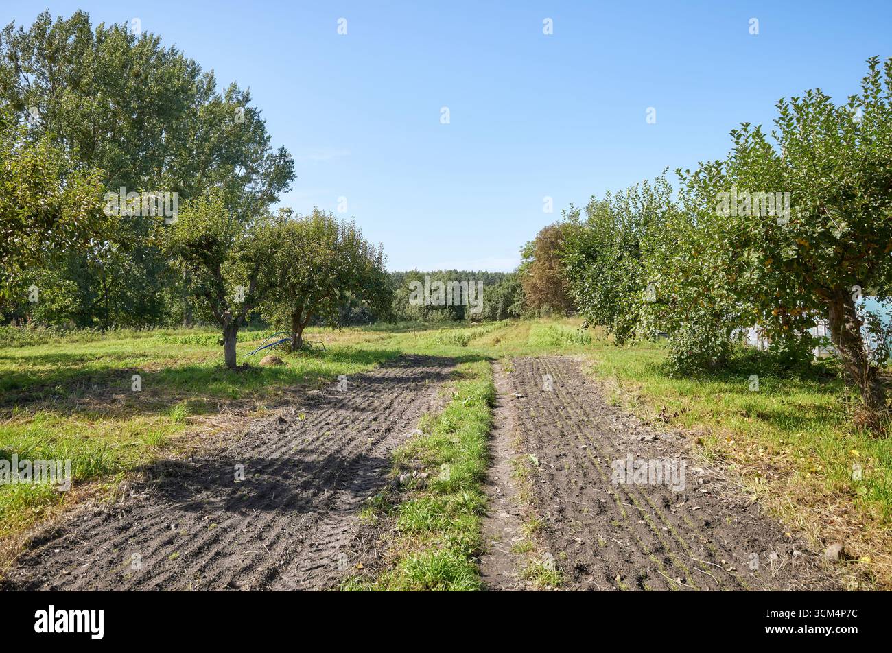 Une ferme produisant des légumes et des fruits biologiques. Banque D'Images