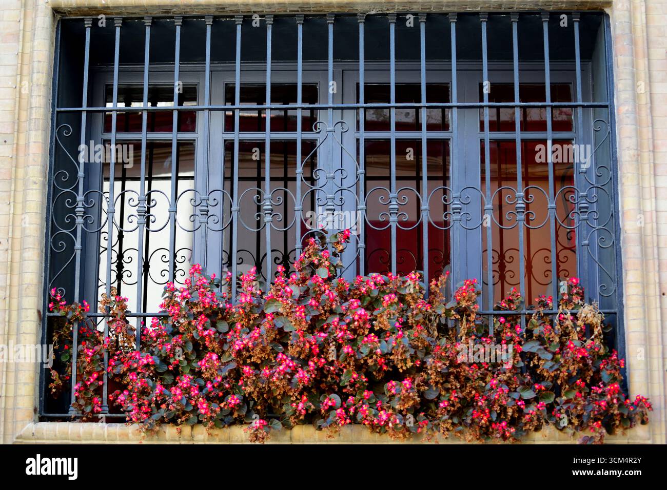 Fenêtre bleue avec abri en fer et fleurs roses Banque D'Images