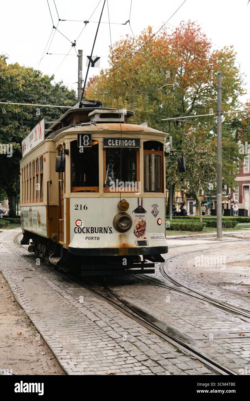 Porto Tram sur Clerigos route avec lignes électriques aériennes et arbres d'automne. Système de tramway portugais vintage, infrastructure de transport public urbain Banque D'Images