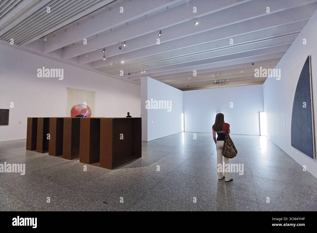 Museo Nacional Centro de Arte Reina Sofia (Musée de la Reine Sofia, Madrid, Espagne) Banque D'Images