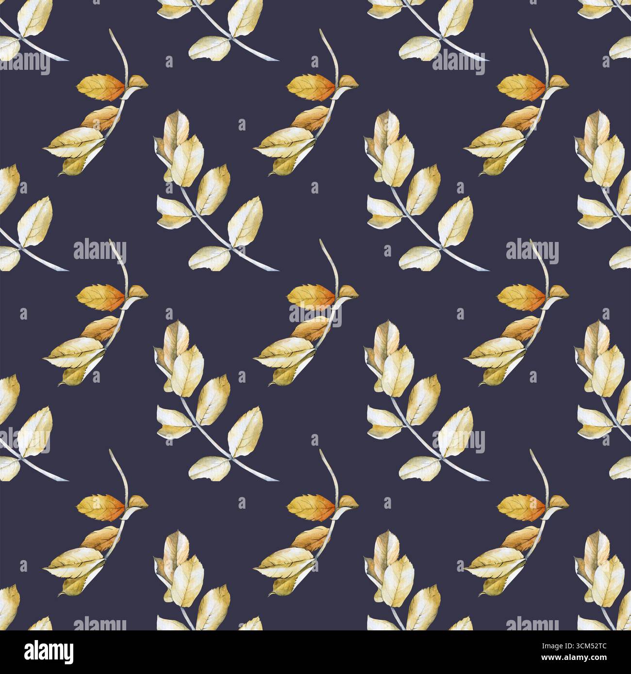 Motif aquarelle sans couture avec des feuilles d'automne sur un fond gris. Illustration botanique de feuilles de rose musquée jaunes séchées. Arrière-plan transparent pour Banque D'Images