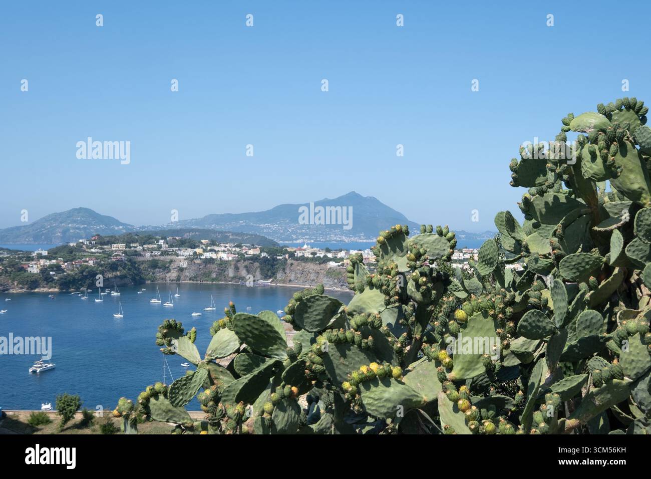 Vue de Terra Murata sur l'île, en arrière-plan Ischia, île de Procida, golfe de Naples, Italie, Europe Banque D'Images