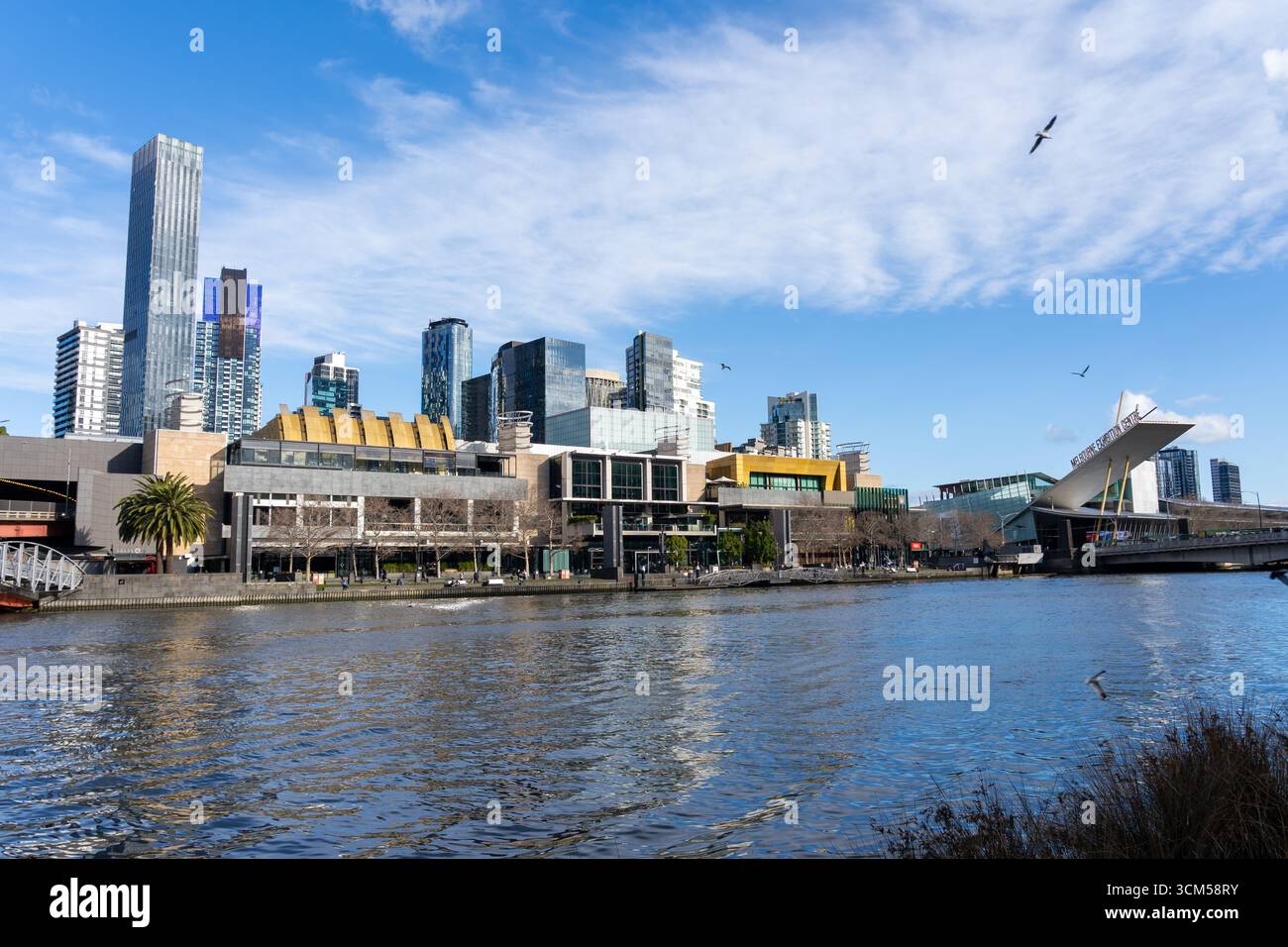 Paysage urbain en bord de mer de Melbourne, à côté de la rivière Yarra dans South Wharf à Melbourne, Australie. Banque D'Images