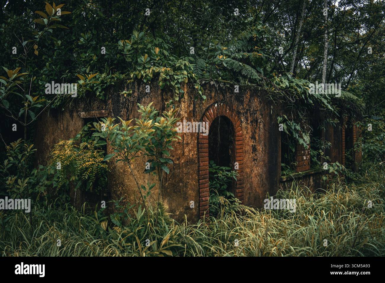 Bâtiment abandonné avec des arches de briques dépassées par la végétation au Brésil Banque D'Images