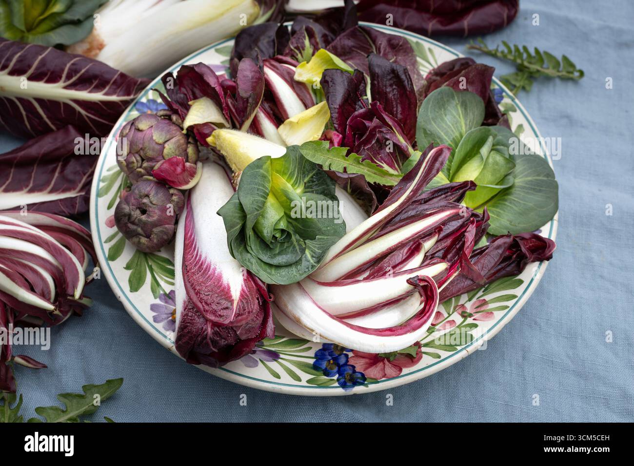Assiette avec trévise, chicorée, pak choy et artichauts Banque D'Images