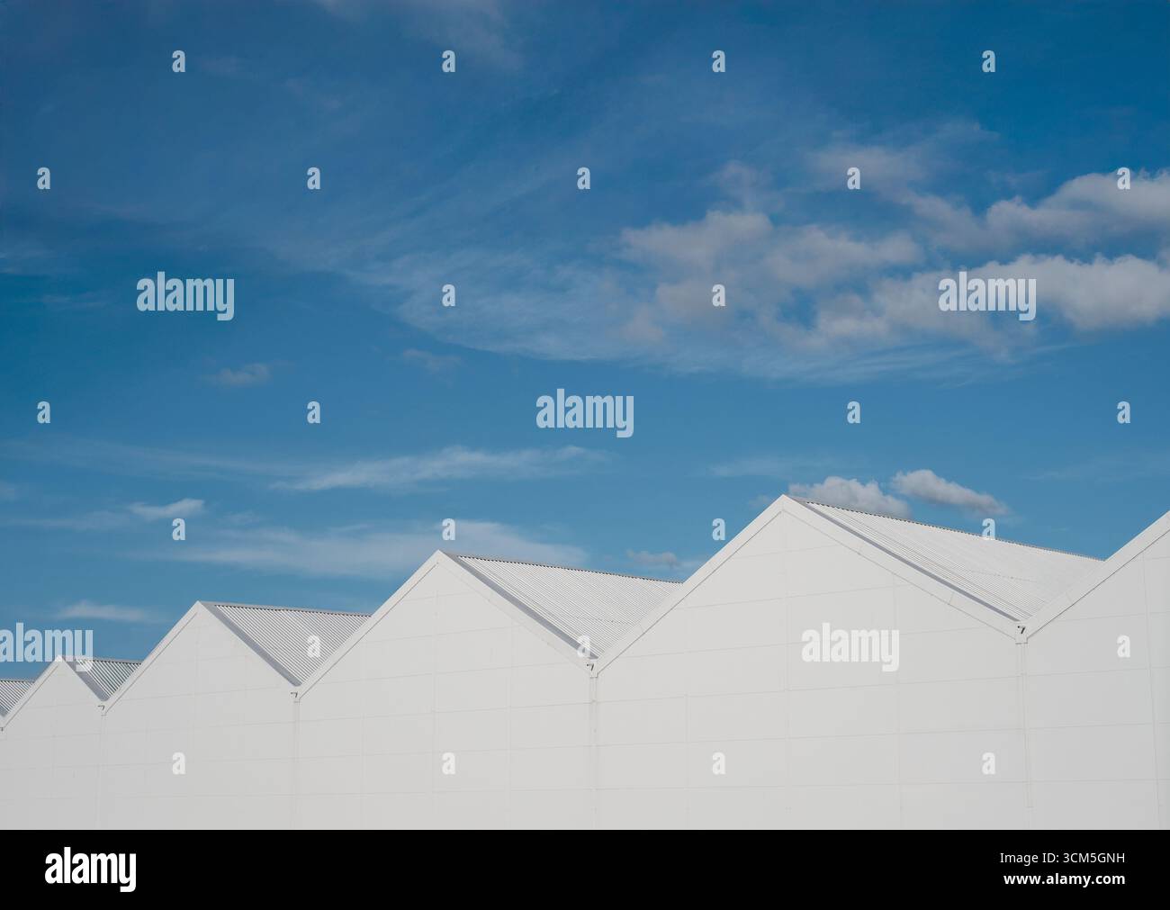 Architecture industrielle abstraite image d'Un grand hangar de stockage blanc Stark ou entrepôts avec Sawtooth toiture, avec espace de copie Banque D'Images