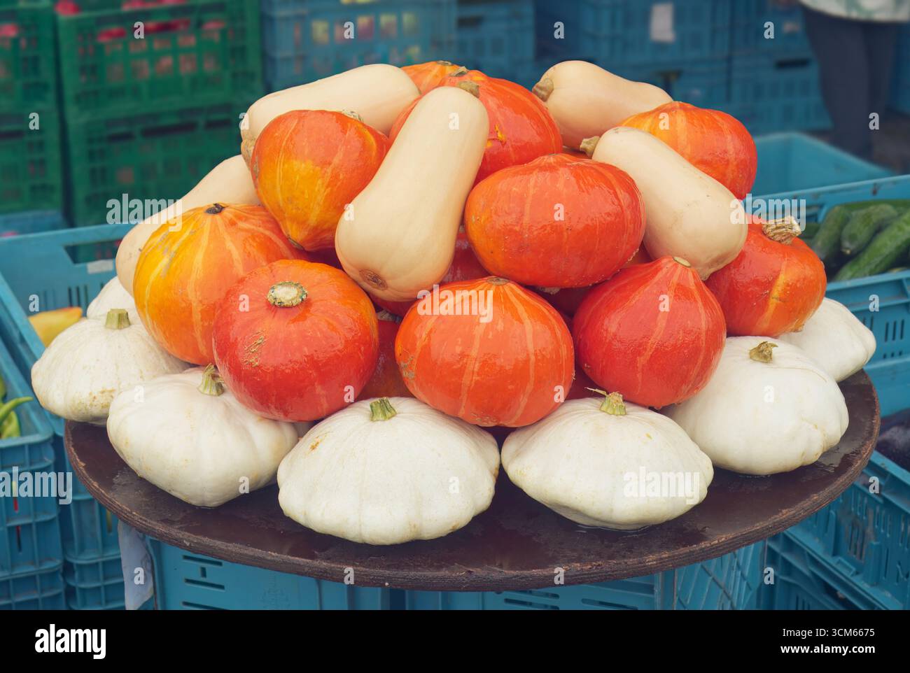Des courges d’automne fraîchement récoltées sont exposées sur un stand de marché agricole à Náplavka, Prague, République tchèque. Banque D'Images