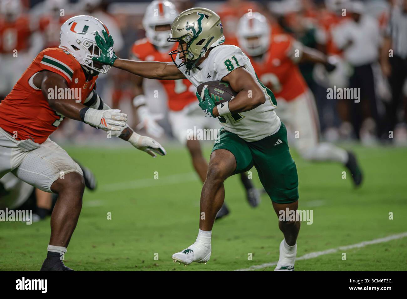 Miami, FL : Christian Neptune (81 ans), receveur des South Florida Bulls Wide, court avec le ballon lors d'un match de la NCAA contre les Hurricanes de Miami le samedi 13 septembre 2025 au Hard Rock Stadium. Les Hurricanes ont battu les Bulls 49-12. (Kim Hukari/image du sport) Banque D'Images Miami, FL : Christian Neptune (81 ans), receveur des South Florida Bulls Wide, court avec le ballon lors d'un match de la NCAA contre les Hurricanes de Miami le samedi 13 septembre 2025 au Hard Rock Stadium. Les Hurricanes ont battu les Bulls 49-12. (Kim Hukari/image du sport) Banque D'Images