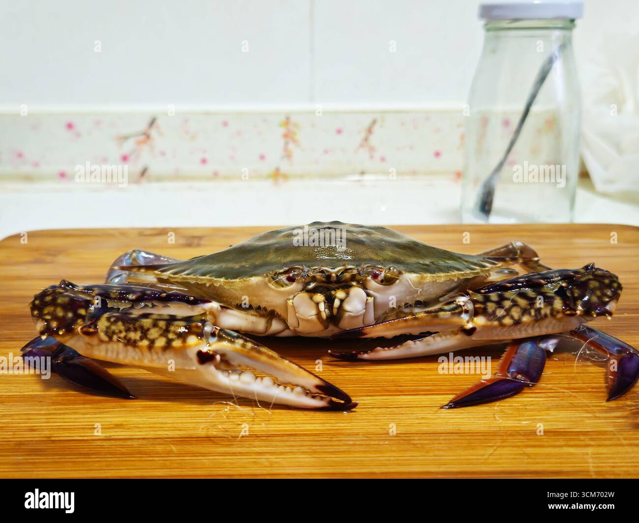 Crabe de nageur bleu frais sur planche à découper dans la cuisine à la maison Banque D'Images