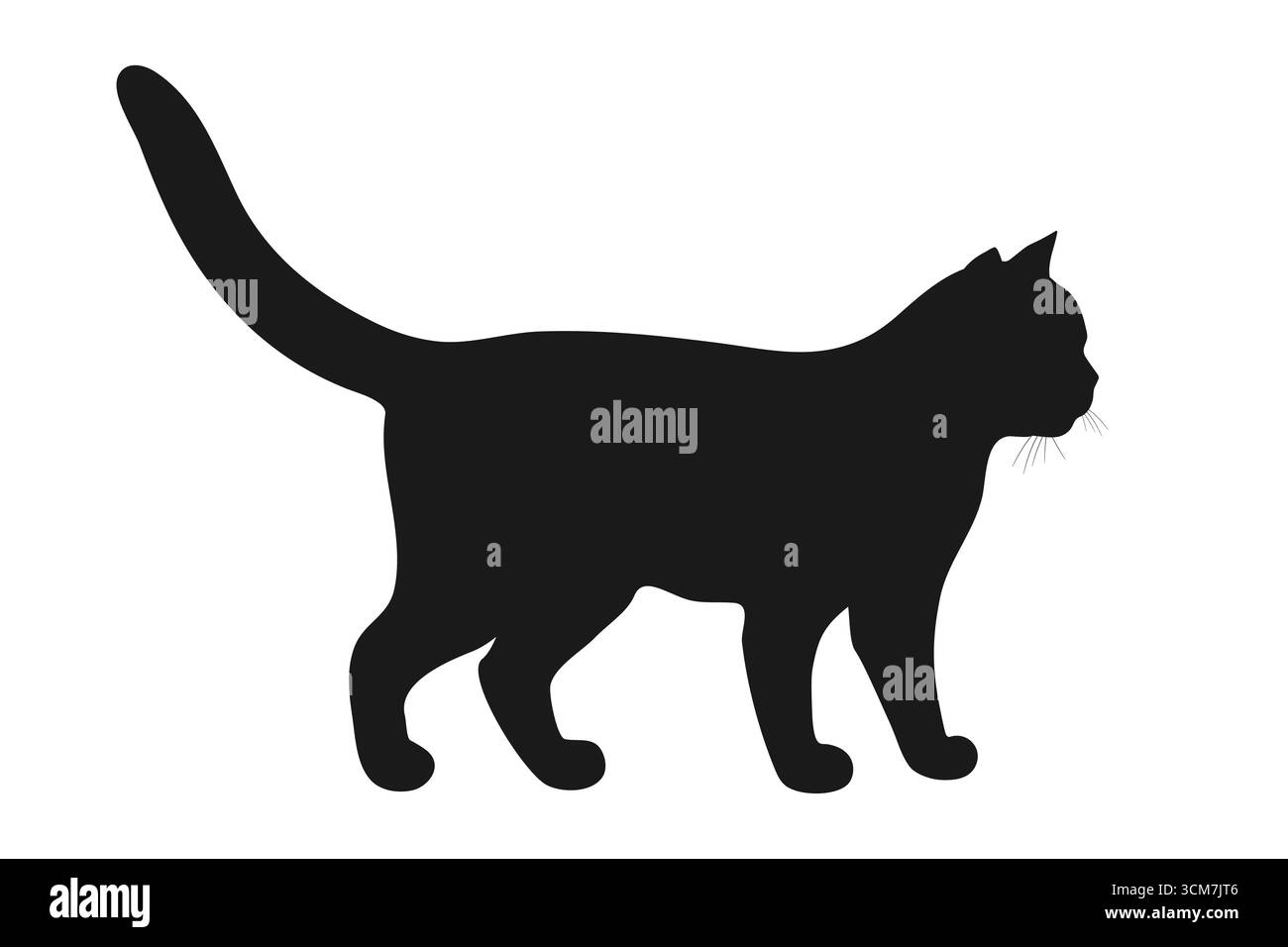 Silhouette de chat debout, vue latérale. Silhouette de chat en profil. Illustration vectorielle. Illustration de Vecteur Silhouette de chat debout, vue latérale. Silhouette de chat en profil. Illustration vectorielle. Illustration de Vecteur