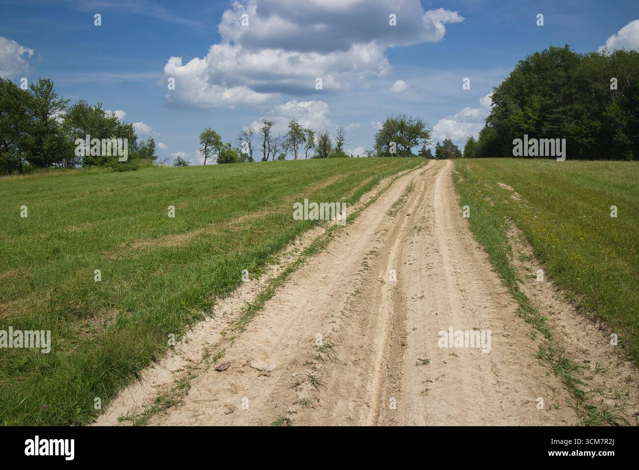 Un chemin de terre dans un champ avec des arbres en arrière-plan. La route est vide et le ciel bleu Banque D'Images
