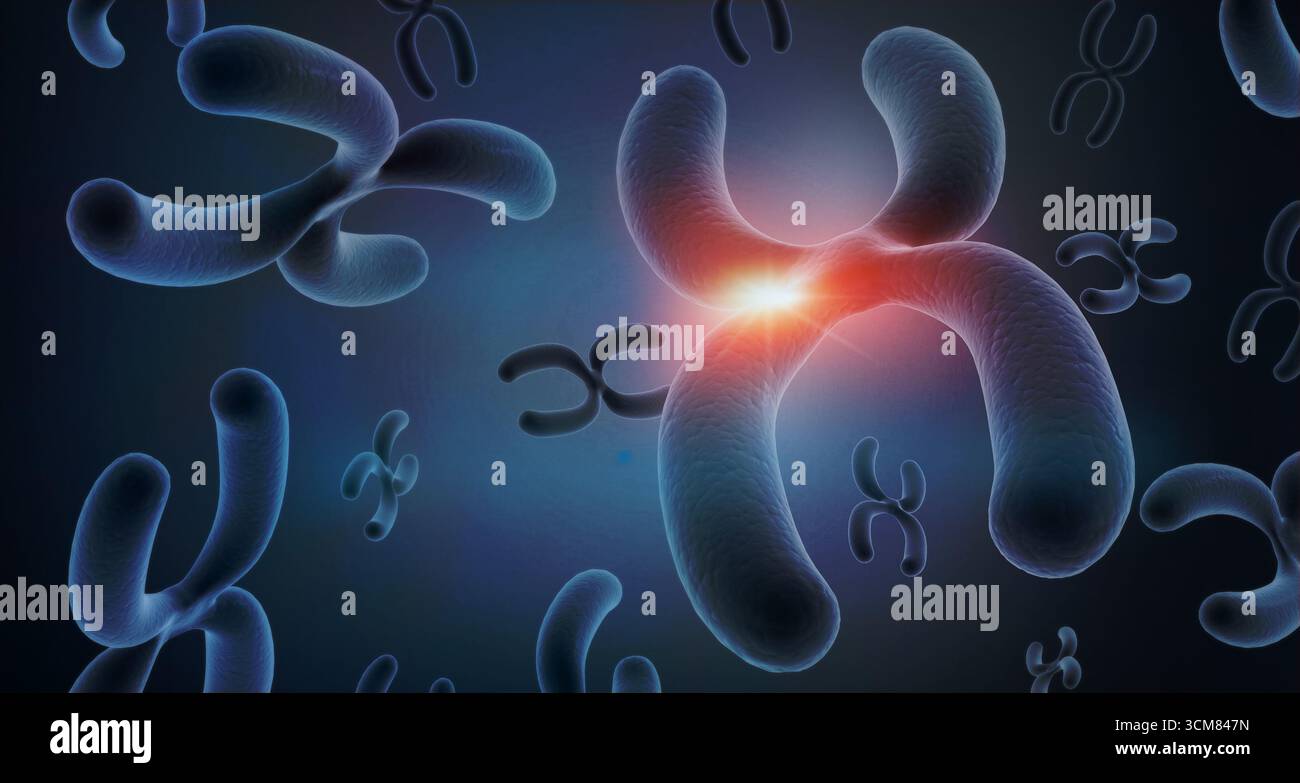 Fond chromosomique. Chromosome X et Y. illustration 3d. Banque D'Images