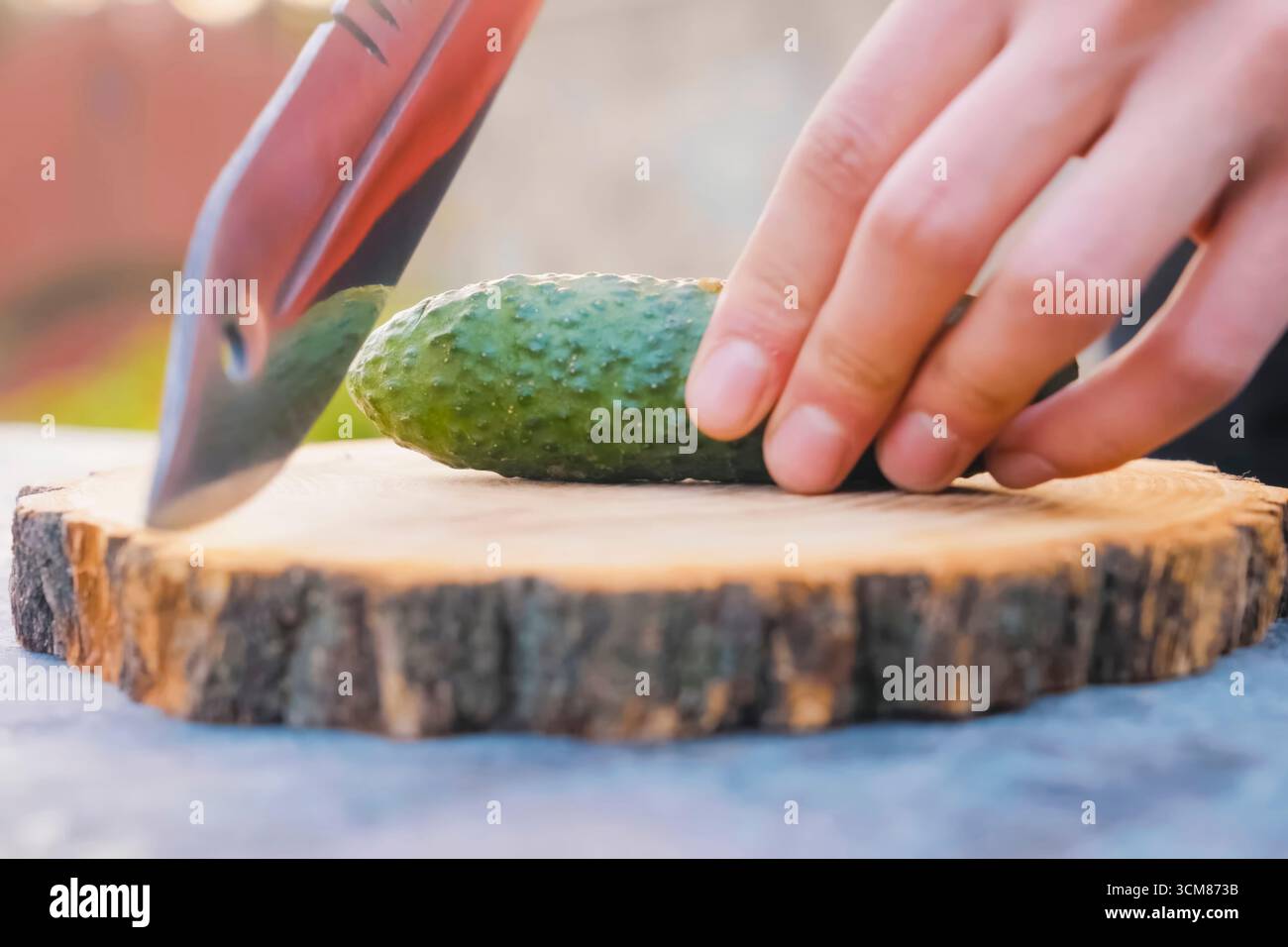 Trancher le concombre sur une planche à découper en bois avec un nouveau couteau tranchant. Banque D'Images