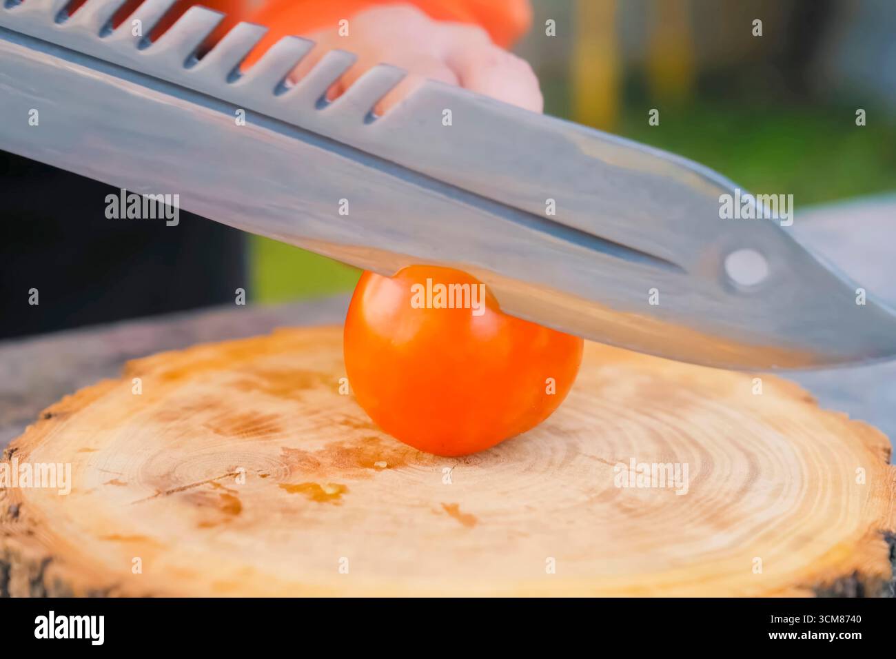 Trancher la tomate sur le bois, planche à découper avec un nouveau couteau tranchant. Banque D'Images