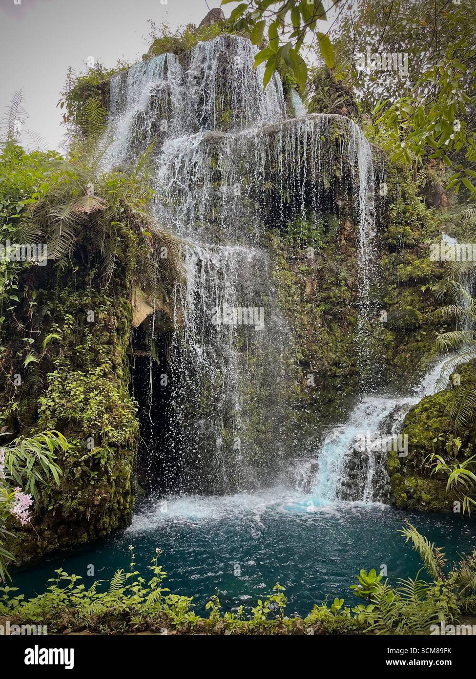 Chasse aux cascades au parc des cascades Dan Tewada Land of Angels à Chiang mai, Thaïlande Banque D'Images