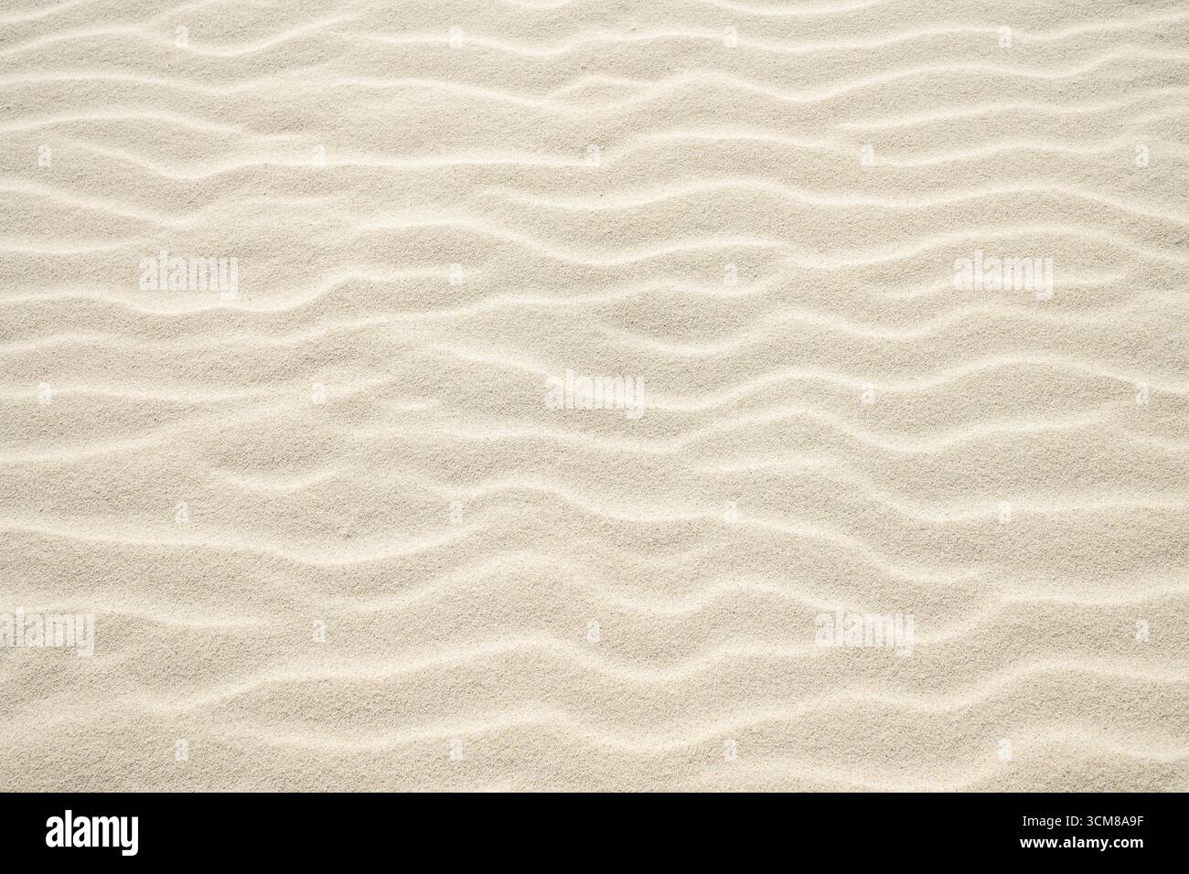 Sable beige clair avec des dérives ondulées. Surface naturelle comme arrière-plan. Banque D'Images