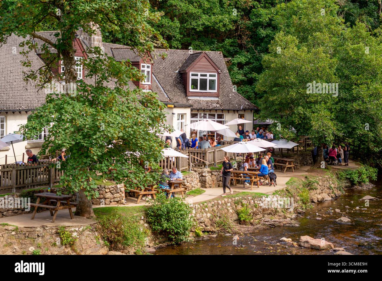 Fingle Bridge Inn, Dartmoor, Devon, Angleterre, Royaume-Uni Banque D'Images