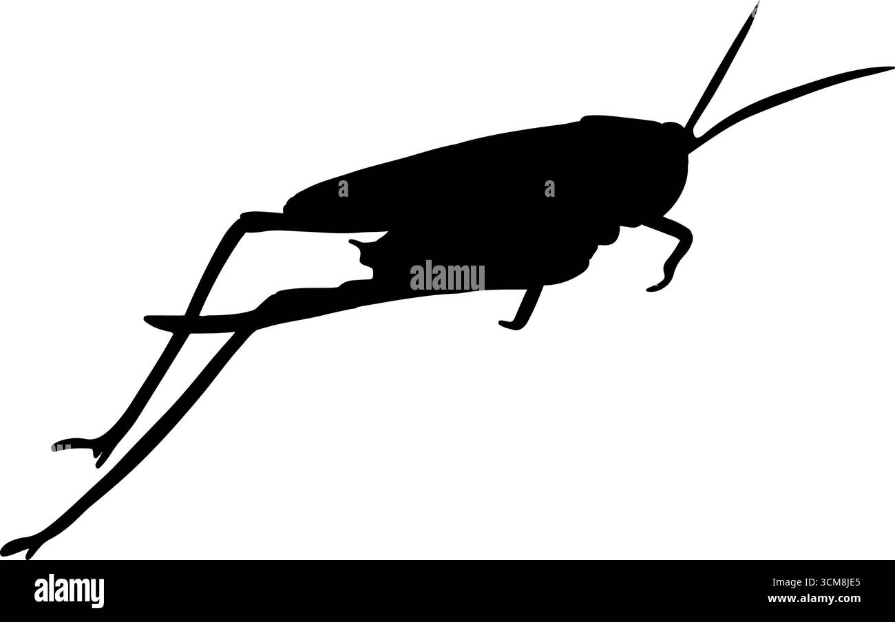 Illustration isolée vectorielle d'une silhouette de sauterelle Illustration de Vecteur