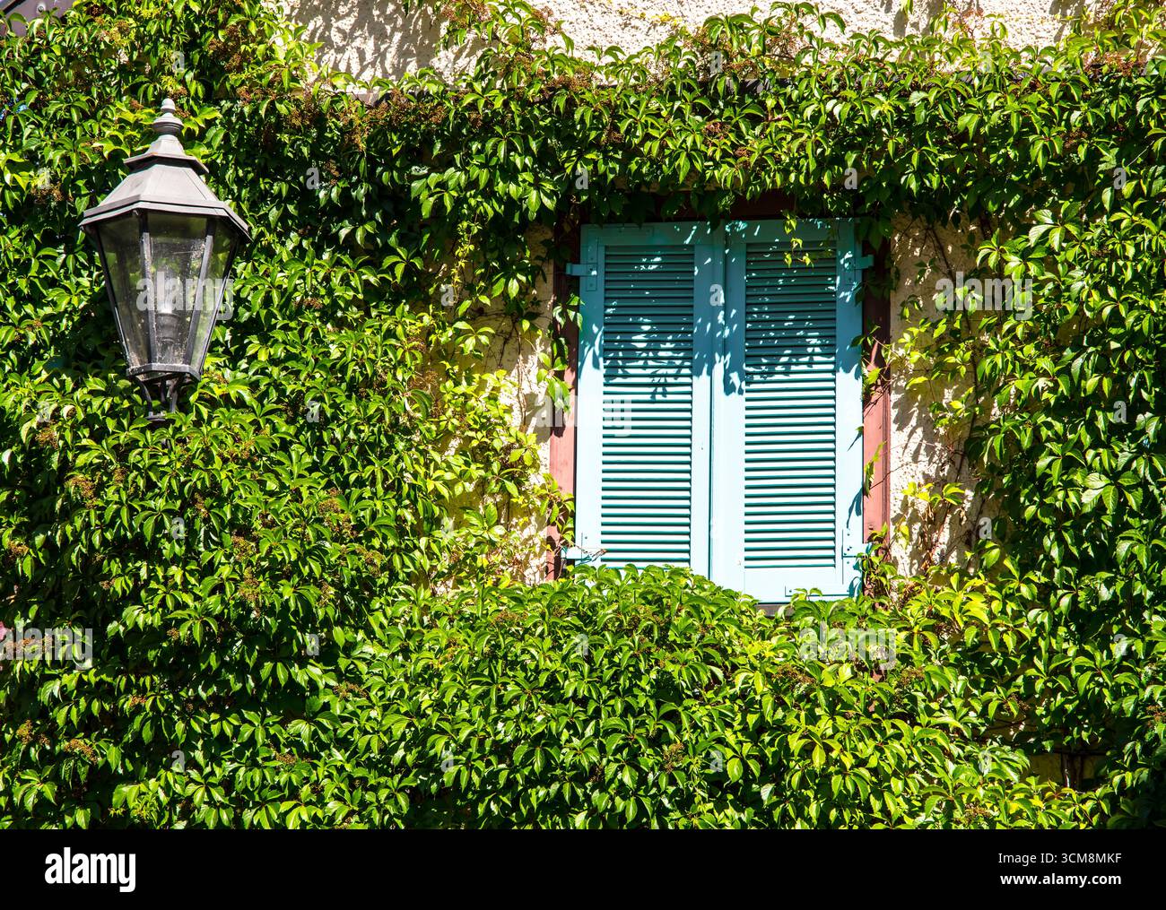 Fenêtre avec volets fermés bleu clair en façade verte Banque D'Images