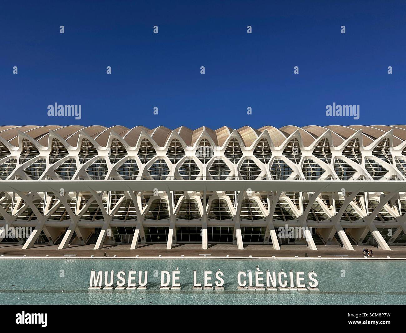 La photo montre l'impressionnante façade futuriste du Museu de les ciencies à Valence, qui fait partie de la Ciudad de las Artes y las Ciencias. La structure en béton blanc et en verre d'aspect organique se reflète dans le bassin d'eau calme devant le bâtiment, tandis que le ciel bleu clair souligne les lignes claires de l'architecture. La scène transmet un sentiment d'innovation moderne, d'importance culturelle et de précision architecturale dans la métropole espagnole. Banque D'Images
