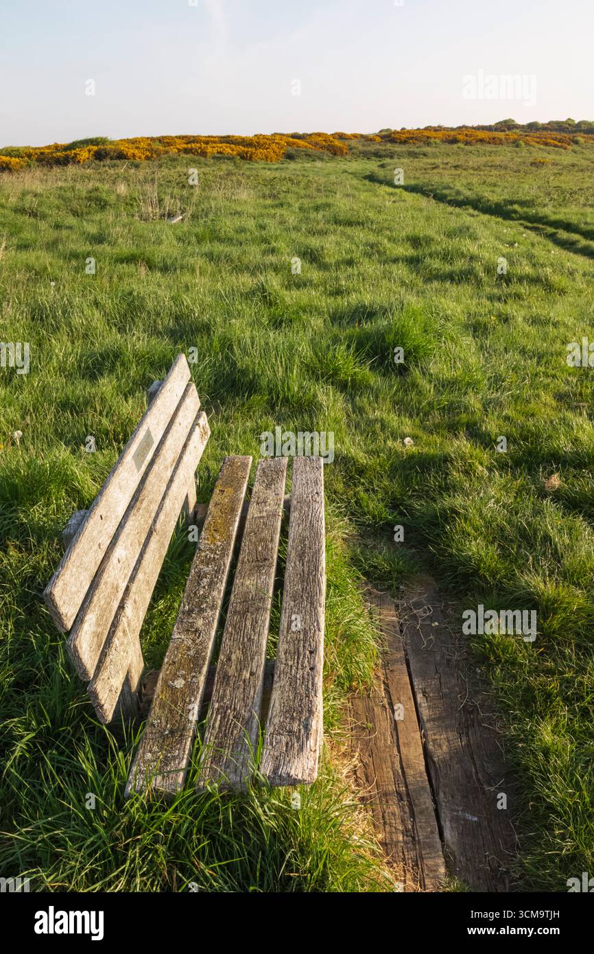 Angleterre, Sussex, East Sussex, South Downs National Park, Wooden Bench et Green Field près de Birling Gap Banque D'Images