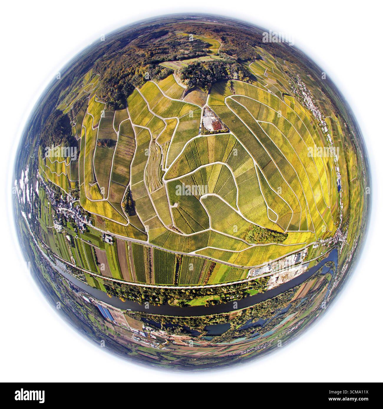 Vignobles d'automne dans la vallée de la Moselle du côté luxembourgeois de la Moselle, vendanges, automne, feuilles d'automne, octobre doré, L'été indien, Wel Banque D'Images Vignobles d'automne dans la vallée de la Moselle du côté luxembourgeois de la Moselle, vendanges, automne, feuilles d'automne, octobre doré, L'été indien, Wel Banque D'Images