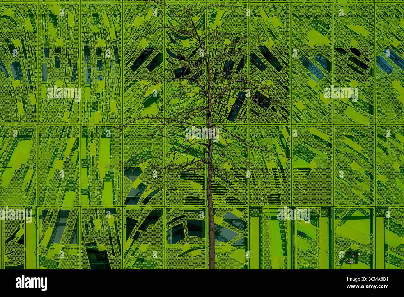 La nature rencontre la modernité : l'oasis urbaine. Le bureau Euronews à Lyon, en France, conçu par Jakob + MacFarlane, présente une façade en aluminium vert vif avec des perforations dynamiques. Un seul arbre se dresse devant, mêlant présence naturelle et design moderne. Banque D'Images
