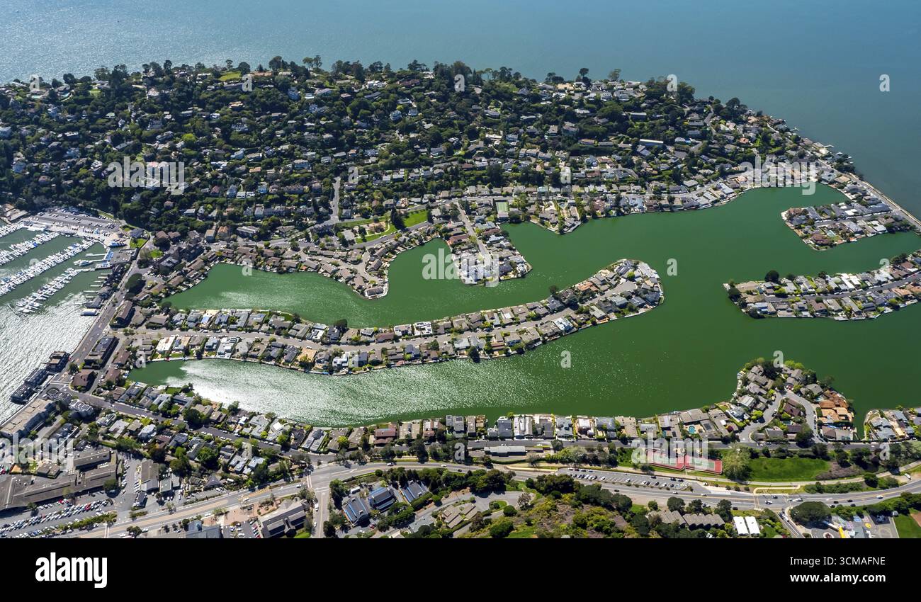Bâtiments résidentiels au bord de l'eau, péninsule du Belvedere Tiburon, région de la baie de San Francisco, États-Unis d'Amérique, Californie, États-Unis, Belvedere Tiburon, U. Banque D'Images