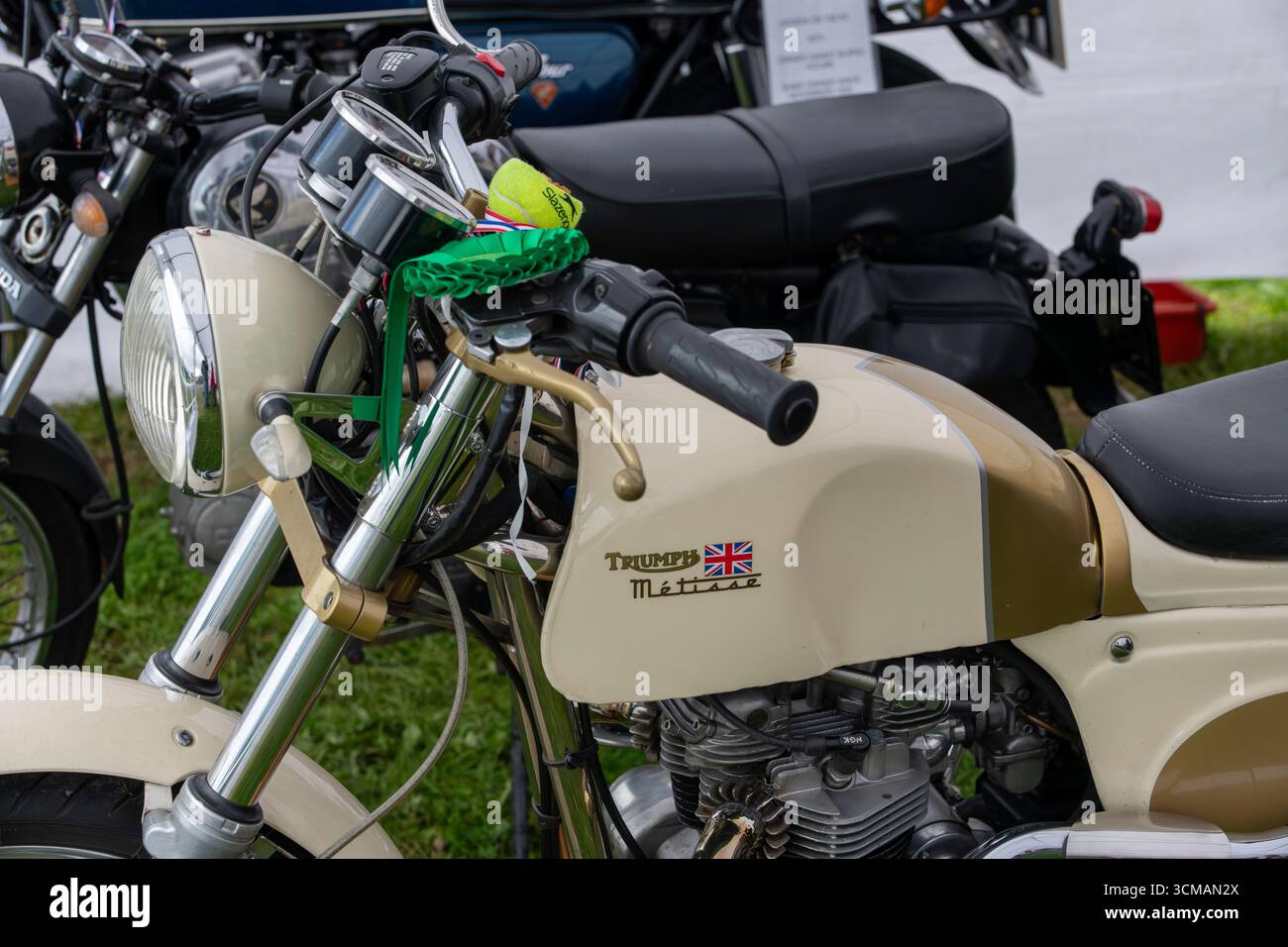 Une superbe exposition de motos vintage présentant un design et un savoir-faire emblématiques, soulignant l'attrait intemporel des motos classiques. Banque D'Images