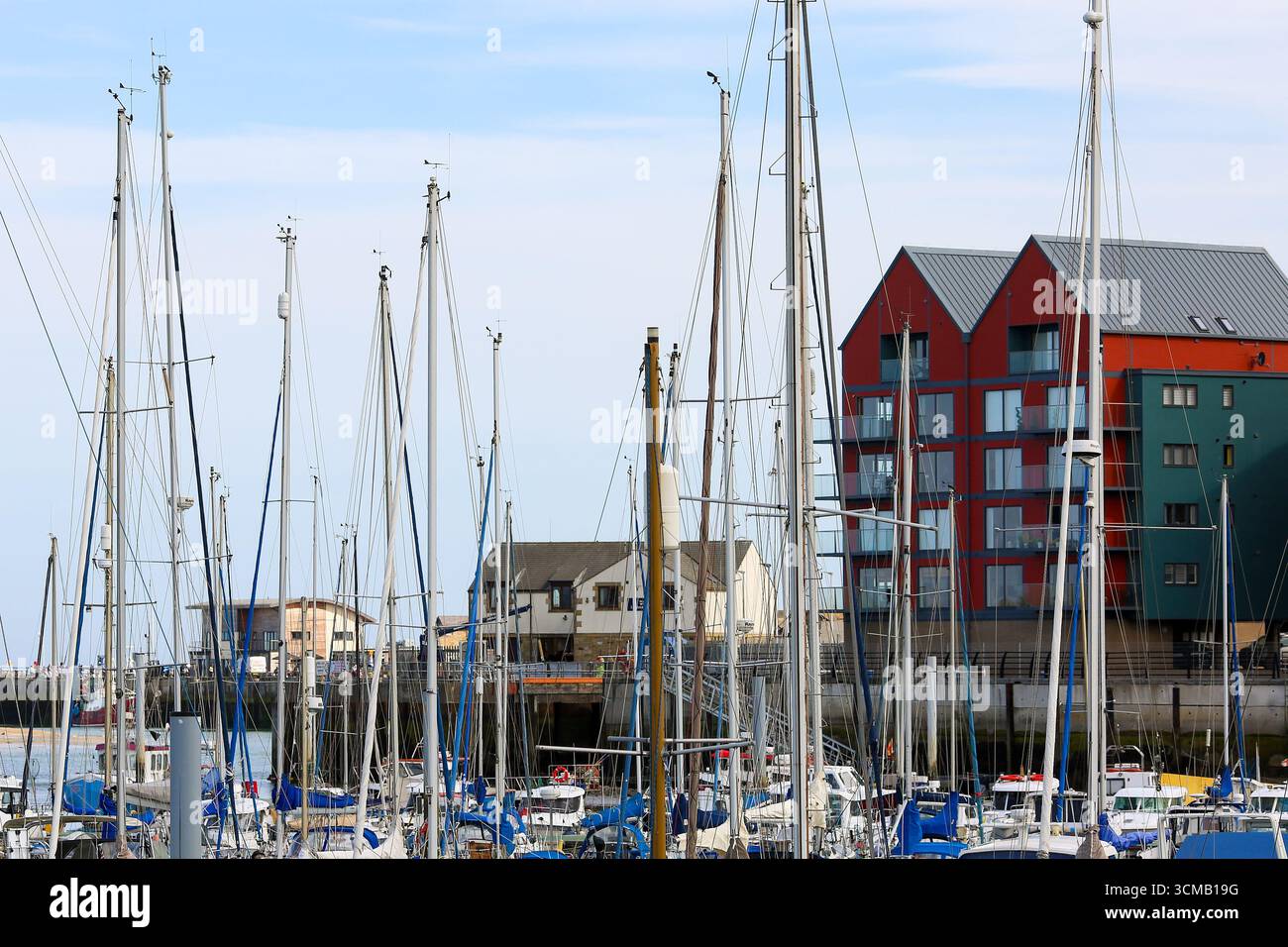 Amble Marina, Northumberland. Angleterre du Nord-est Banque D'Images