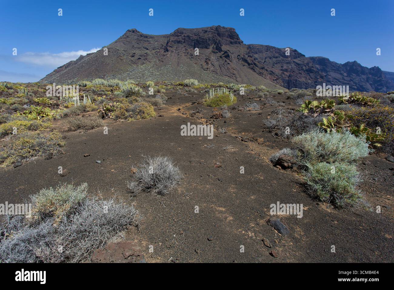 Paysage à Teno point, île de Tenerife, Espagne Banque D'Images