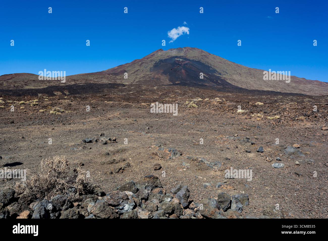 Montagne Teide depuis le belvédère Narices del Teide, île de Tenerife, Espagne Banque D'Images