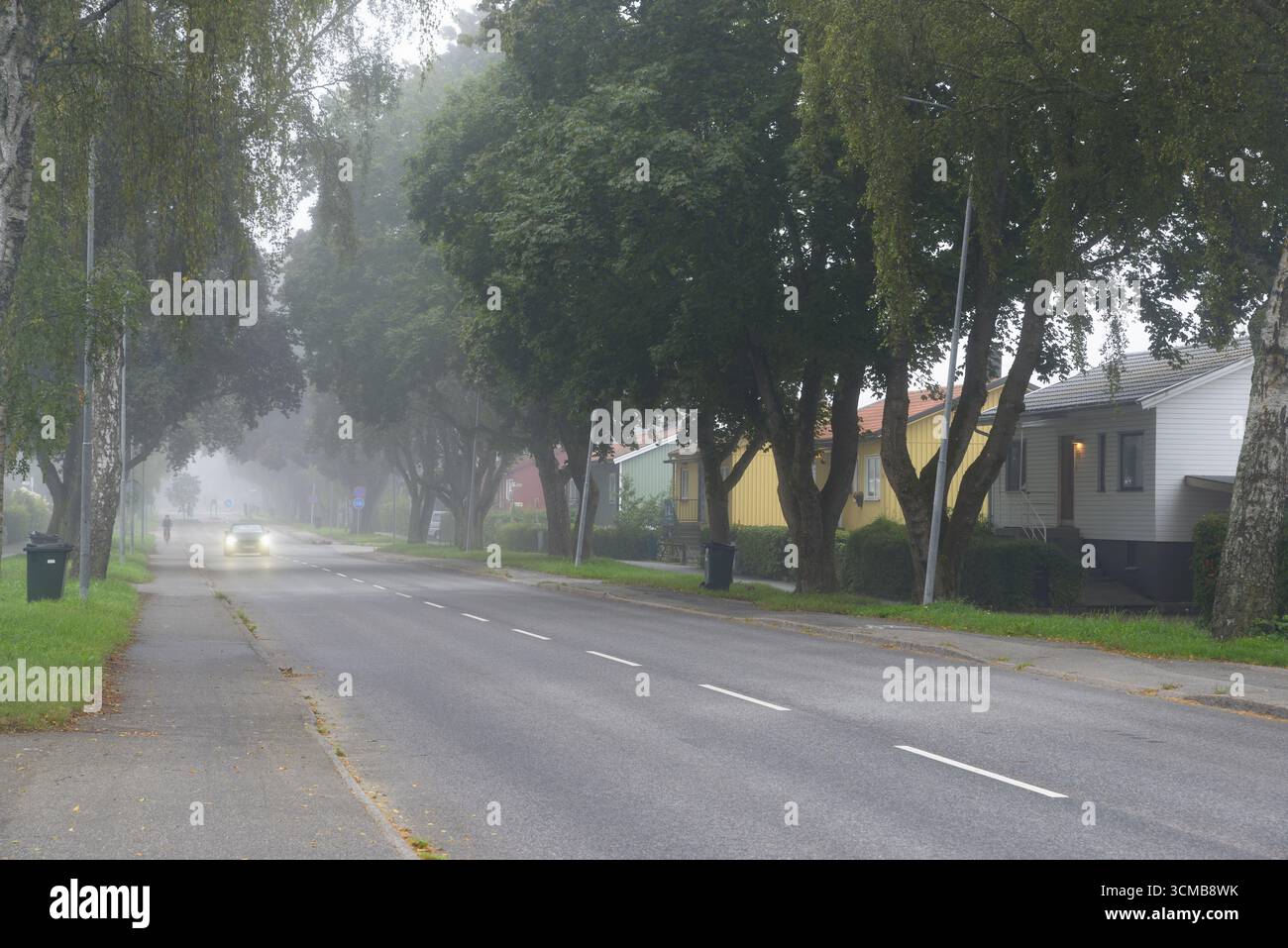 Matin d'automne brumeux suédois dans la banlieue de Stockholm avec des poubelles de recyclage des ordures sur le trottoir Banque D'Images
