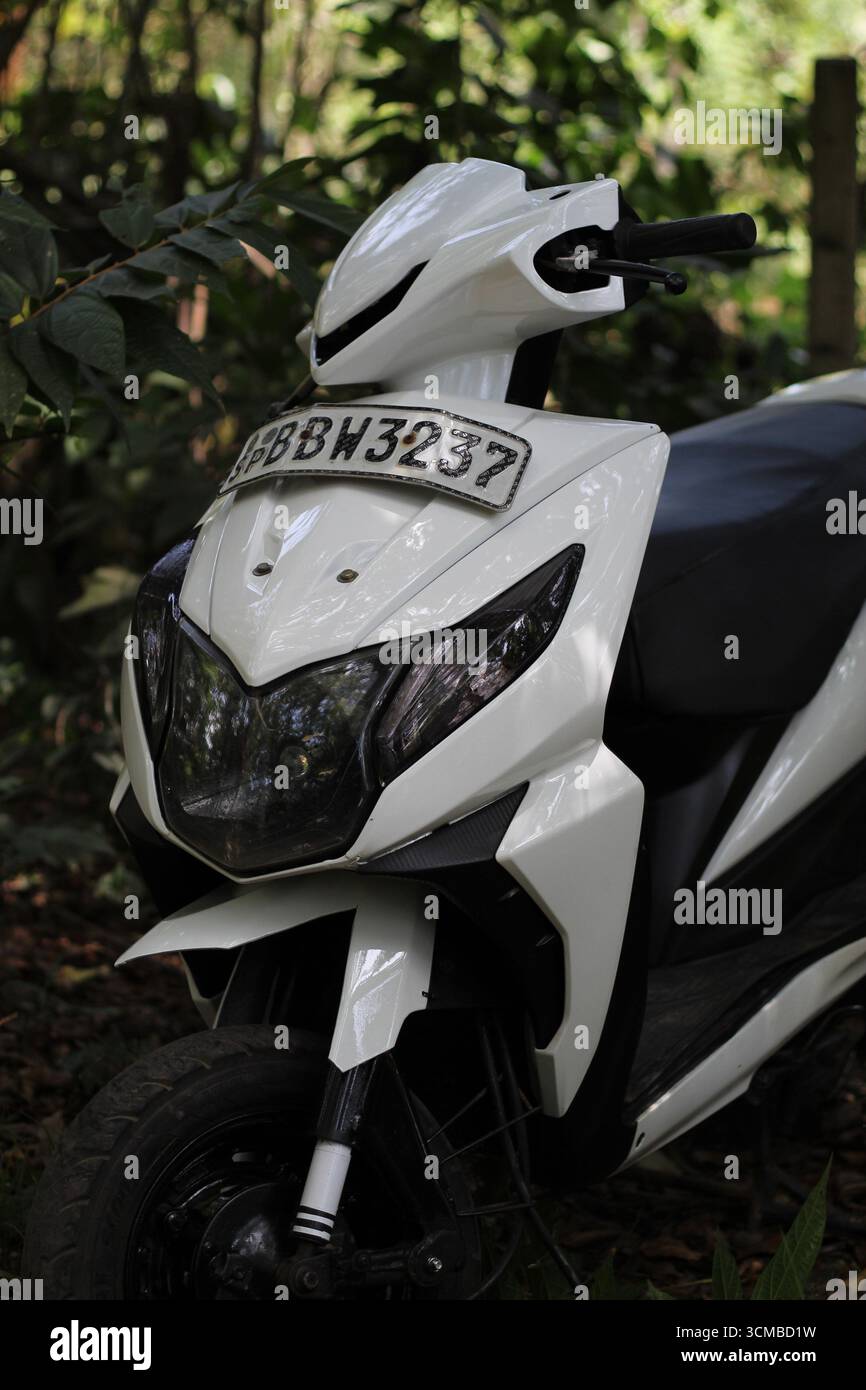 Un scooter blanc moderne est garé à l'extérieur dans un environnement naturel luxuriant, capturé de l'angle avant avec une plaque d'immatriculation clairement visible. Banque D'Images